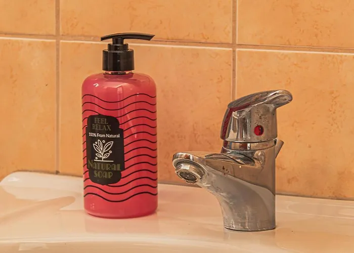 Basiliki's 아파트 *